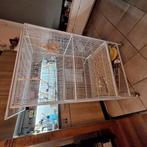 Witte kooi., Dieren en Toebehoren, Vogels | Hokken en Kooien, Ophalen, Zo goed als nieuw, Metaal, Vogelkooi