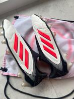 Adidas Copa Pure 3 Elite Laceless Voetbalschoenen, Ophalen of Verzenden, Zo goed als nieuw, Schoenen