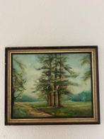 weg langs bomen, Ophalen