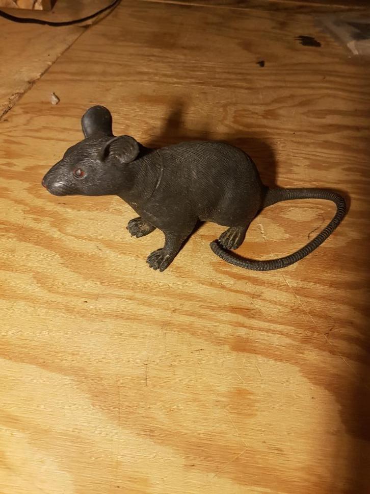 speelgoed rat