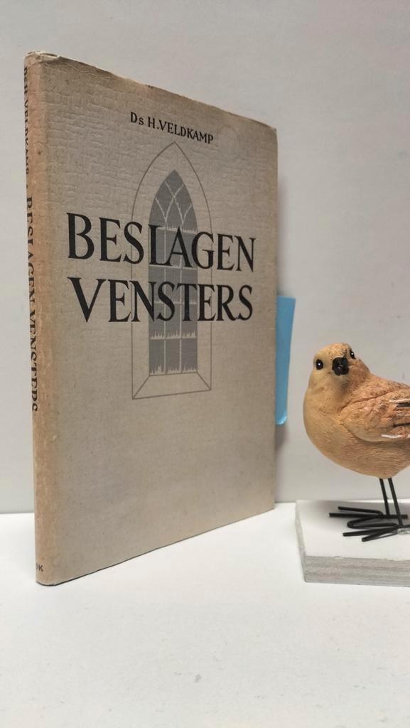 Veldkamp, Ds. H.; Beslagen vensters, Boeken, Godsdienst en Theologie, Gelezen, Christendom | Protestants, Ophalen of Verzenden