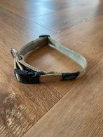 Groene hondenhalsband, Ophalen of Verzenden, Gebruikt