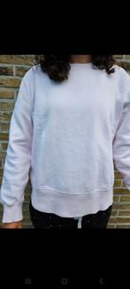 Zara, Kleding | Dames, Truien en Vesten, Zara, Maat 42/44 (L), Ophalen of Verzenden, Zo goed als nieuw