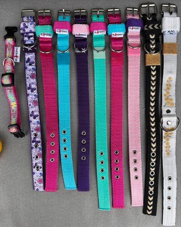10 nieuwe puppy/kleine hond halsbandjes beschikbaar voor biedingen