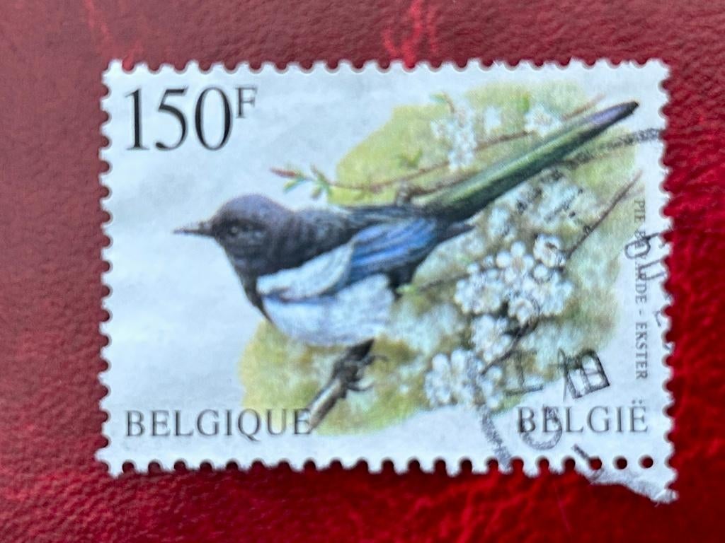 Ekster - België  - 1997, Verzenden, Gestempeld, Dier of Natuur