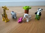 LEGO Duplo 10904 – Babydieren, Ophalen of Verzenden, Zo goed als nieuw, Complete set, Duplo