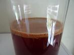 Kombucha scoby, Ophalen