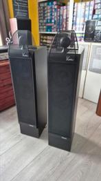 Magnat Viva11 luidsprekers, Ophalen, Gebruikt, Magnat, 120 watt of meer