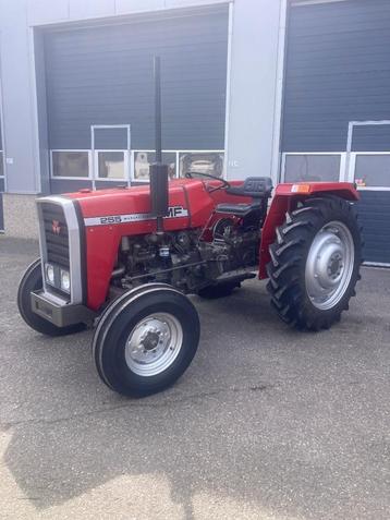 Massey Ferguson 255 beschikbaar voor biedingen