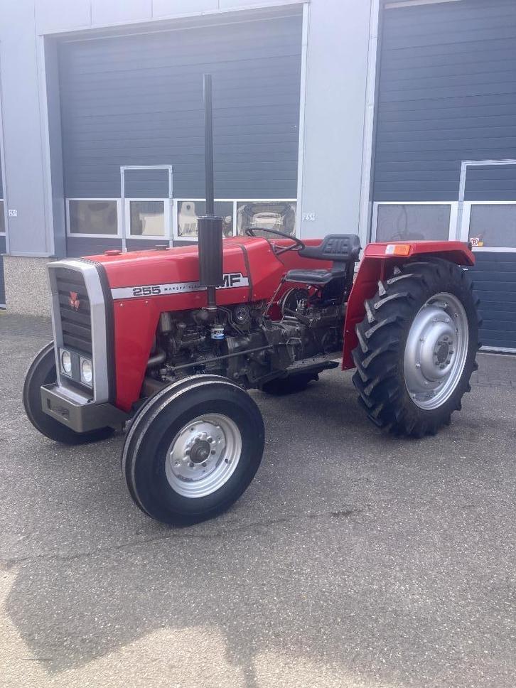 Massey Ferguson 255, Zakelijke goederen, Agrarisch | Tractoren, Massey Ferguson, tot 80 Pk, Oldtimer, Ophalen