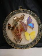 Vlinder taxidermie Braziliaanse edelstenen wanddecoratie, Ophalen of Verzenden, Zo goed als nieuw, Insect, Opgezet dier
