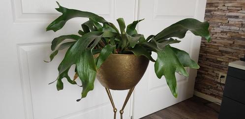Prachtige aparte pot op pootjes, Tuin en Terras, Bloempotten, Zo goed als nieuw, Metaal, Binnen, Balkon, Tuin, 25 tot 40 cm, Rond