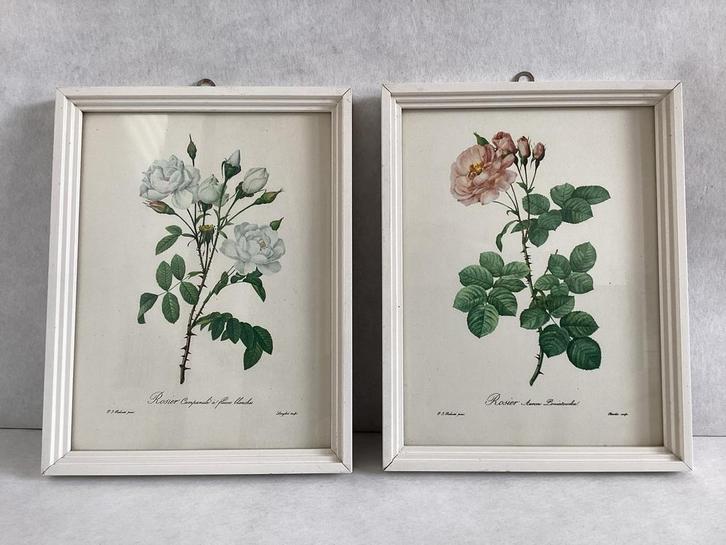 2 Vintage bloemenprints in witte houten lijst P.J. Redouté, Huis en Inrichting, Woonaccessoires | Schilderijen, Tekeningen en Foto's