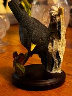 Prachtig Beeldje 'Amsel' (Merel) The Country Bird Collection, Ophalen, Zo goed als nieuw, Dier