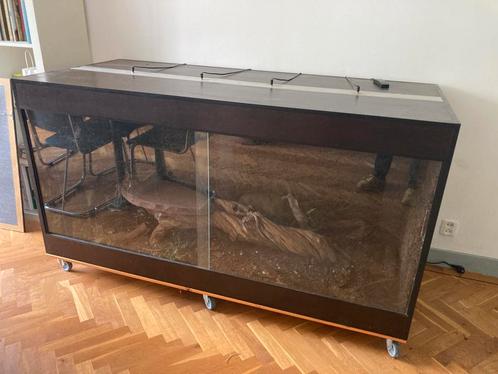 Groot terrarium met intichting, lampen en thermostaat, Dieren en Toebehoren, Reptielen en Amfibieën | Toebehoren, Gebruikt, Terrarium of Paludarium