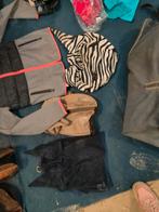 Vliegenkappen paard en pony, Dieren en Toebehoren, Ophalen of Verzenden, Gebruikt, Overige soorten