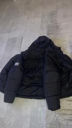 Burberry winterjas, Ophalen, Zo goed als nieuw