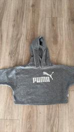 Puma trui maat 128, Ophalen of Verzenden, Zo goed als nieuw