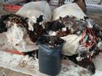 Schapen wol 2 big bags, Hobby en Vrije tijd, Ophalen, Zo goed als nieuw, Spinwol