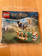 Lego 30651 Harry Potter Zwerkbal training nw in verpakking, Ophalen of Verzenden, Nieuw, Complete set, Lego