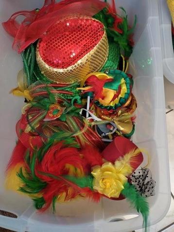 Te koop aangeboden: Diverse Carnaval accessoires  beschikbaar voor biedingen