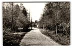 Drunen, Bungalowpark De Klinkaert, Verzenden, 1960 tot 1980, Gelopen, Noord-Brabant
