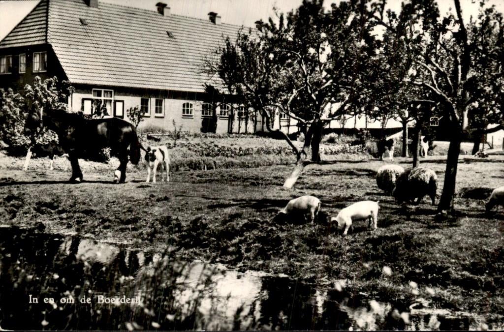 Bussum - Boerderij - In en om de Boerderij, Ophalen of Verzenden, 1940 tot 1960, Gelopen, Noord-Holland