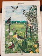 Wandplaat Weide - Natuur en Biologie, Ophalen of Verzenden, Natuur en Biologie