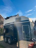 2-paards trailer, opknapper, Ophalen, Gebruikt, Overige soorten