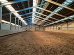 Binnenrijden voor €10,- per keer in 20 x 60 rijhal., Dieren en Toebehoren, Stalling en Weidegang, Stalling