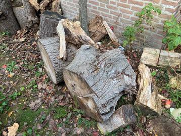Stammen/Blokken hout te koop beschikbaar voor biedingen