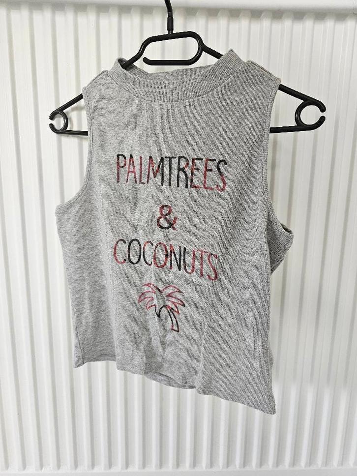 grijze crop top met tekst, Kleding | Dames, Tops, Gedragen, Maat 38/40 (M), Grijs, Korte mouw, Ophalen of Verzenden