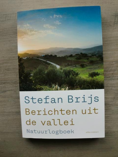 Stefan Brijs - Berichten uit de vallei, Boeken, Overige Boeken, Nieuw, Ophalen of Verzenden