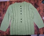 Vest 70 breed 68 lang, Kleding | Dames, Grote Maten, Ophalen of Verzenden, Nieuw, Trui of Vest