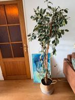 Kunstplant 180 hoog, Ophalen, Zo goed als nieuw