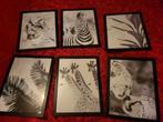Schilderij canvas zebra giraffe tijger plant zwart dieren☘️, Minder dan 50 cm, Nieuw, Ophalen of Verzenden, Schilderij