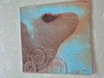 LP Pink Floyd - Meddle, Cd's en Dvd's, Ophalen, Gebruikt