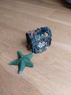 Aquarium decor zeester & schatkist, Ophalen of Verzenden, Gebruikt, Plant(en), Steen of Hout