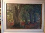 Uniek schilderij Fonger Frans de Haas (1876-1961) Scheen., Antiek en Kunst, Ophalen
