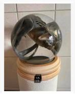 Korting Opgezette Varaan in XL glazen bol, sterk water, Verzamelen, Ophalen, Zo goed als nieuw, Vogel, Opgezet dier