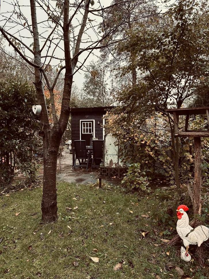 Volkstuin, tuinhuisje., Tuin en Terras, Tuinhuizen, Ophalen