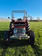 MF 135, Ophalen of Verzenden, Oldtimer, Tot 80 Pk, Massey Ferguson