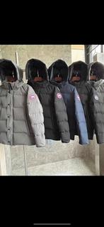 Canada Goose Wyndham Winterjassen maat XS t/m XXL NIEUW, Overige kleuren, Verzenden, Canada Goose, Nieuw