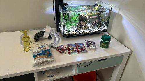Aquarium met alle toebehoren, Dieren en Toebehoren, Vissen | Aquaria en Toebehoren, Zo goed als nieuw, Gevuld zoetwateraquarium