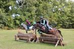 Allround D pony 6jr, Dieren en Toebehoren, Merrie, B, Springpony, 3 tot 6 jaar
