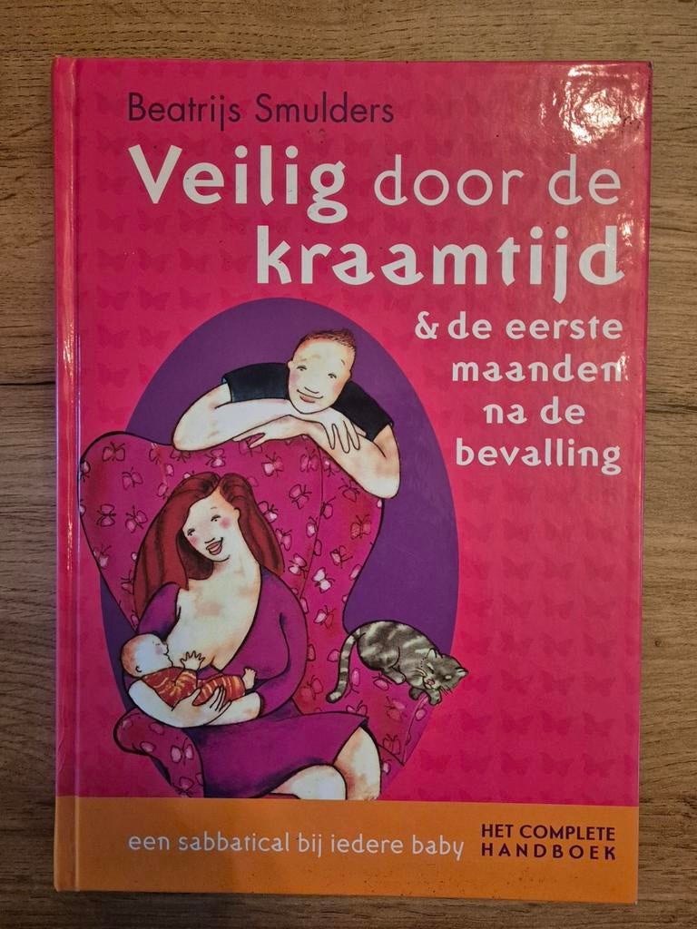 Veilig door de kraamtijd - Beatrijs Smulders, Ophalen of Verzenden, Zo goed als nieuw, Zwangerschap en Bevalling, Beatrijs Smulders