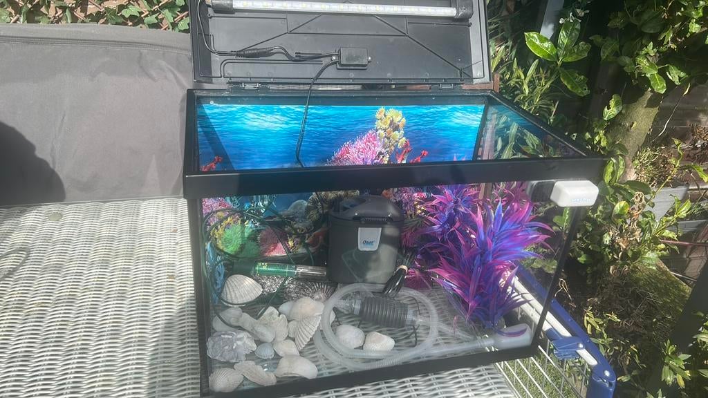 Aquarium, Dieren en Toebehoren, Knaagdieren en Konijnen | Hokken en Kooien, Ophalen of Verzenden, Zo goed als nieuw, Hok, Minder dan 60 cm