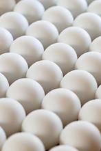 Witte kunststof bollen, Ophalen of Verzenden, Zo goed als nieuw