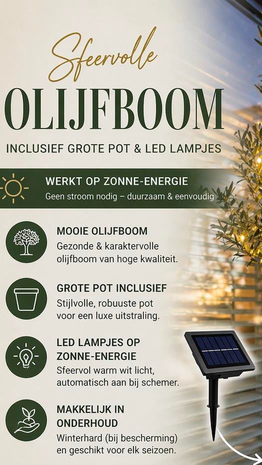 Olijfboom inclusief pot & led lampjes, Volle zon, Ophalen of Verzenden, 100 tot 250 cm, Olijfboom