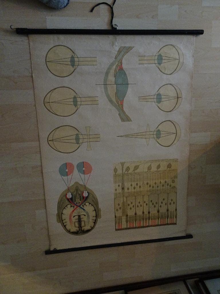 Schoolplaat medisch, Ophalen, Natuur en Biologie